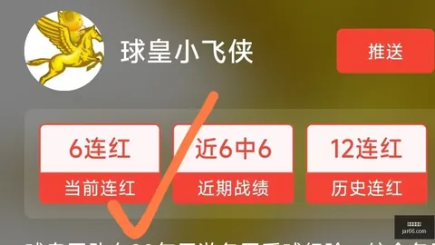 欧青赛焦点选手亮相9战8胜，5场连红战绩亮眼